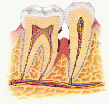 Clínica Dental Doctor Corcuera